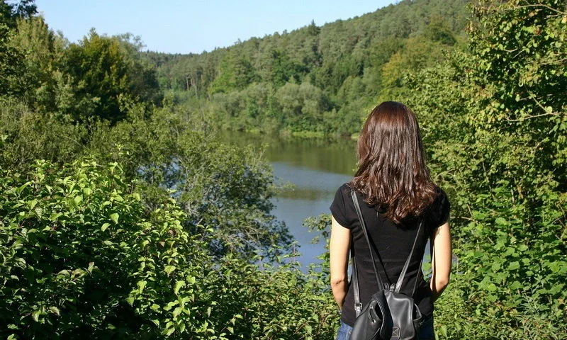 forest bathing dan terapi hutan