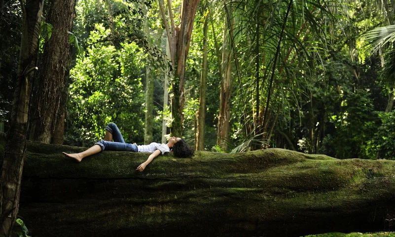 forest bathing indonesia