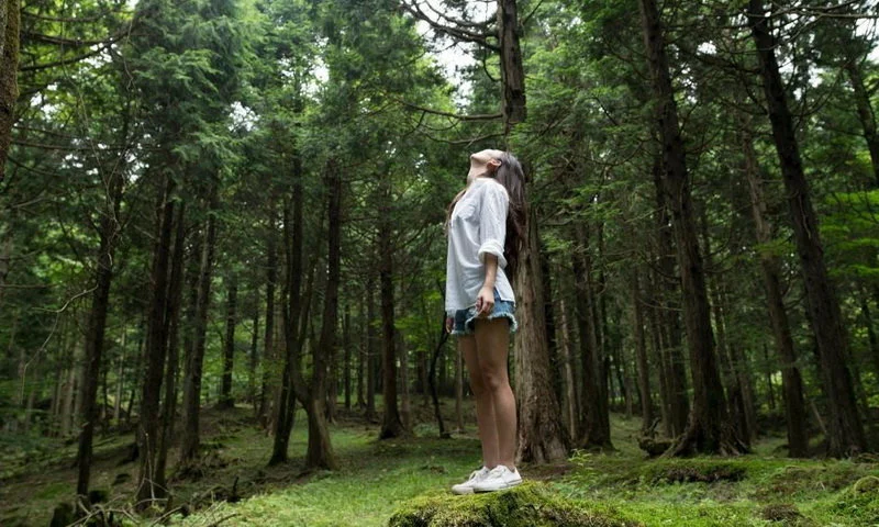 forest bathing di indonesia