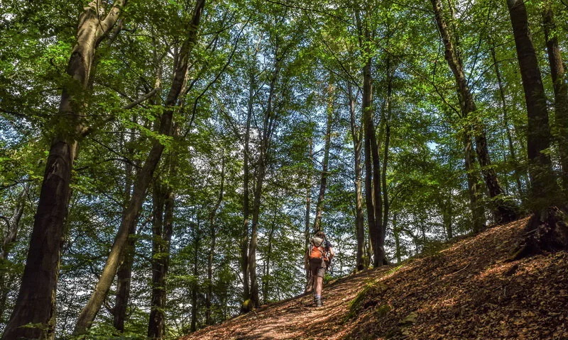 hiking