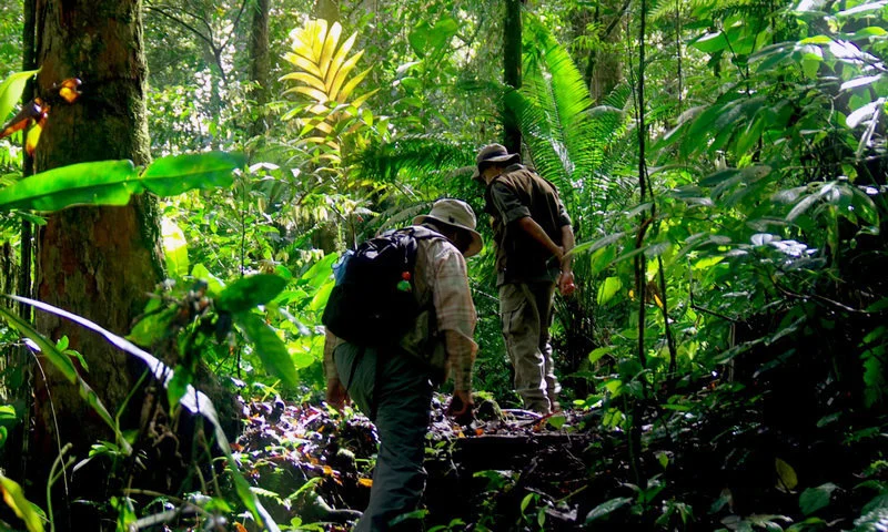 hiking treking sentul puncak bogor
